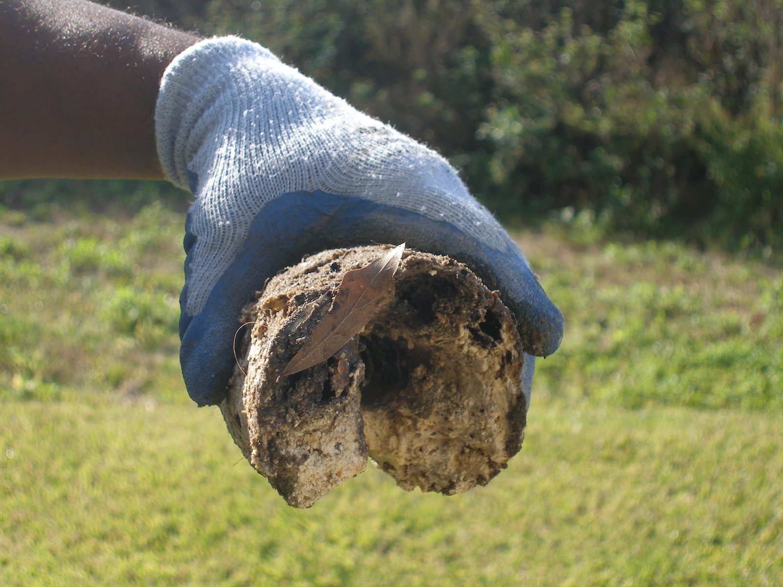 Grease buildup pulled from a commercial line by Anytime Septic